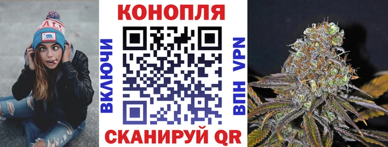 Где купить наркотики Неман Галлюциногенные грибы  А ПВП  Меф  Канабис  ГАШ 