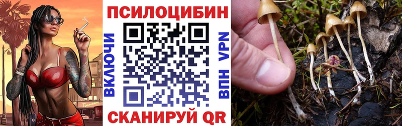 Псилоцибиновые грибы Magic Shrooms  наркошоп  Неман 